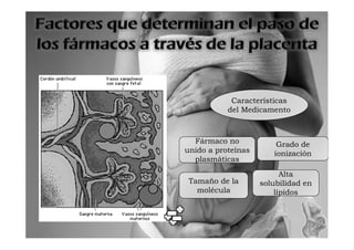 Características
           del Medicamento



  Fármaco no            Grado de
unido a proteínas      ionización
  plasmáticas
                          Alta
 Tamaño de la       solubilidad en
   molécula             lípidos
 
