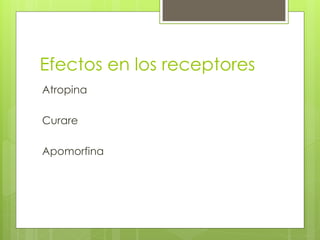 Efectos en los receptores
Atropina

Curare

Apomorfina
 