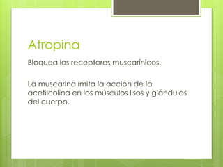 Atropina
Bloquea los receptores muscarínicos.

La muscarina imita la acción de la
acetilcolina en los músculos lisos y glándulas
del cuerpo.
 