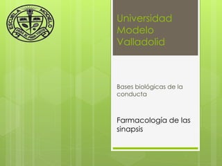 Universidad
Modelo
Valladolid



Bases biológicas de la
conducta



Farmacología de las
sinapsis
 