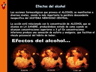 Efectos del alcohol
Las acciones farmacológicas que provoca el ALCOHOL se manifiestan a
diversos niveles, siendo la más importante la parálisis descendente
inespecífica del SISTEMA NERVIOSO CENTRAL.
La acción está relacionada con la concentración de ALCOHOL que se
alcanza en LA SANGRE, produciéndose estado de coma cuando se
alcanzan concentraciones superiores a 3 g/l En concentraciones
inferiores produce una sensación de euforia y analgesia, que facilitan el
vínculo psicosocial del hábito de beber.
 