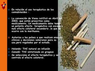  En relación al uso terapéutico de los
cannabinoides :
 La convención de Viena ratificó en Abril del
2003, que están proscritos como
medicamento. Un medicamento debe tener
un potente efecto terapéutico con escaso o
nulo efecto colateral secundario ,lo que no
ocurre con la marihuana.
 Autoriza a los países a que realicen ensayos
clínicos y decisiones soberanas para su
uso,pero reguladas por el estado.
 Holanda: THC natural en infusión
 Canadá: THC sintetizado en grageas
 Se selecciona el efecto terapéutico y se
controla el efecto colateral.
 