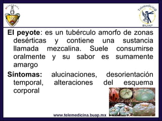 <ul><li>El peyote : es un tubérculo amorfo de zonas desérticas y contiene una sustancia llamada mezcalina. Suele consumirs...