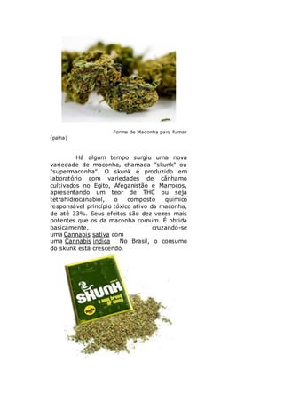 Forma de Maconha para fumar
(palha)



         Há algum tempo surgiu uma nova
variedade de maconha, chamada "skunk" ou
"supermaconha". O skunk é produzido em
laboratório com variedades de cânhamo
cultivados no Egito, Afeganistão e Marrocos,
apresentando um teor de THC ou seja
tetrahidrocanabiol,   o    composto     químico
responsável princípio tóxico ativo da maconha,
de até 33%. Seus efeitos são dez vezes mais
potentes que os da maconha comum. É obtida
basicamente,                        cruzando-se
uma Cannabis sativa com
uma Cannabis indica . No Brasil, o consumo
do skunk está crescendo.
 