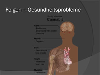 Folgen – Gesundheitsprobleme
 