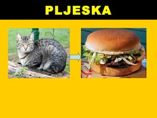 PLJESKA 