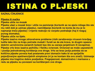 ISTINA O PLJESKI SAZNAJ ČINJENICE Pljeska ili mačka Pljeska utiče na mozak Pljeska ulazi u mozak brzo i utiče na pamćenje (korisnik se ne sjeća ničega što ste mu rekli dok je uzimao pljesku), razmišljanje (korisnik ne konta da mu je to najmanje treća pljeska) i vrijeme reakcije na vanjske podražaje (haj ti reaguj punog stomaka). Pljeska utiče na tijelo. Pljeska izaziva mnoge zdravstvene probleme (rizik zaražavanja virusom kravljeg ludila tako što na kraju počnete mukati i furati se da ste krava, te drugim opasno dobrim uzročnicima zaraznih bolesti kao što su zaraza janjetinom ili ćevapima). Pljeska vrlo brzo izaziva psihičku i fizičku ovisnost. Ovisnost se može uspostaviti i poslije jednokratnog korištenja ove droge. Vrlo se brzo javlja potreba da se količina pljeske poveća kad postanete pravi domaćin kako bi se spriječilo pojavljivanjne apstinencijalnih simptoma (ni ja ne kontam šta ovo znači). Uzimanje pljeske ima tragično dobre posljedice. Pregojaznost, domaćinstvo i marisana u redu za pljesku su povezani sa korištenjem ove droge. 