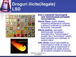 AGENŢIA NAŢIONALĂ
ANTIDROG
Droguri ilicite(ilegale)
LSD
Este o substanţă halucinogenăEste o substanţă halucinogenă
care distorsionează percepţiilecare distorsionează percepţiile
consumatorului.consumatorului.
Efecte fizice: pupile dilatate,
creşterea temperaturii corpului,
a tensiunii arteriale şi a pulsului,
tahicardie, transpiraţii.
Efecte psihice: percepţie
distorsionată, sinestezie
(senzaţia de a "mirosi/vedea"
sunete, de a "auzi/mirosi" culori),
toate simţurile sunt afectate, în
special văzul.
Alte efecte includ halucinaţiile şi
consumatorul crede că ceea ce
vede este real şi acţionează în
concordanţă (se poate arunca
de la balcon crezând că zboară)
 