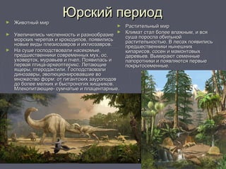 Юрский периодЮрский период
► Животный мирЖивотный мир
► Увеличились численность и разнообразиеУвеличились численность и разнообразие
морских черепах и крокодилов, появилисьморских черепах и крокодилов, появились
новые виды плезиозавров и ихтиозавров.новые виды плезиозавров и ихтиозавров.
► На суше господствовали насекомые,На суше господствовали насекомые,
предшественники современных мух, ос,предшественники современных мух, ос,
уховерток, муравьев и пчел. Появилась иуховерток, муравьев и пчел. Появилась и
первая птица-археоптерикс. Летающиепервая птица-археоптерикс. Летающие
ящеры, птеродактили. Господствовалиящеры, птеродактили. Господствовали
динозавры, эволюционировавшие водинозавры, эволюционировавшие во
множество форм: от гигантских зауроподовмножество форм: от гигантских зауроподов
до более мелких и быстроногих хищников.до более мелких и быстроногих хищников.
Млекопитающие- сумчатые и плацентарные.Млекопитающие- сумчатые и плацентарные.
► Растительный мирРастительный мир
► Климат стал более влажным, и всяКлимат стал более влажным, и вся
суша поросла обильнойсуша поросла обильной
растительностью. В лесах появилисьрастительностью. В лесах появились
предшественники нынешнихпредшественники нынешних
кипарисов, сосен и мамонтовыхкипарисов, сосен и мамонтовых
деревьев. Вымирают семенныедеревьев. Вымирают семенные
папоротники и появляются первыепапоротники и появляются первые
покрытосеменные.покрытосеменные.
 