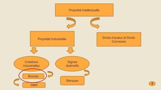 Propriété Intellectuelle
Propriété Industrielle Droits d’auteur et Droits
Connexes
Créations
industrielles
Signes
distinctifs
Marques
Brevets
D&M
4
 