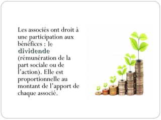 Les associés ont droit à
une participation aux
bénéfices : lele
dividendedividende
(rémunération de la
part sociale ou de
l’action). Elle est
proportionnelle au
montant de l’apport de
chaque associé.
 