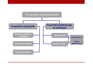 Droits voisinsDroits des marques
Droits des dessins
et modèles Droit d’auteur
Propriété industrielle
Droits des brevets
Droits moraux
Droits
patrimoniaux
Propriété intellectuelle
et artistique
Propriété intellectuelle
 