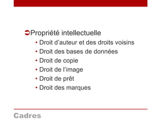 Propriété intellectuelle
• Droit d’auteur et des droits voisins
• Droit des bases de données
• Droit de copie
• Droit de l’image
• Droit de prêt
• Droit des marques
Cadres
 