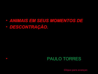 • ANIMAIS EM SEUS MOMENTOS DE
• DESCONTRAÇÃO.




•              PAULO TORRES

                     Clique para avançar.
 