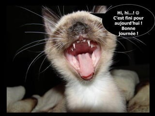 Hi, hi…!   C’est fini pour aujourd’hui ! Bonne journée ! 