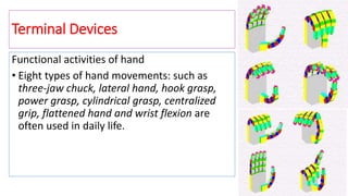 Terminal Devices
Functional activities of hand
• Eight types of hand movements: such as
three-jaw chuck, lateral hand, hook grasp,
power grasp, cylindrical grasp, centralized
grip, flattened hand and wrist flexion are
often used in daily life.
 