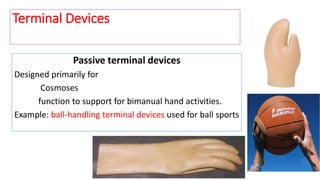 Passive terminal devices
Designed primarily for
Cosmoses
function to support for bimanual hand activities.
Example: ball-handling terminal devices used for ball sports
Terminal Devices
 