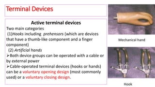 Active terminal devices
Two main categories
(1)Hooks including prehensors (which are devices
that have a thumb-like component and a finger
component)
(2) Artificial hands
Both device groups can be operated with a cable or
by external power
Cable-operated terminal devices (hooks or hands)
can be a voluntary opening design (most commonly
used) or a voluntary closing design.
Terminal Devices
Mechanical hand
Hook
 