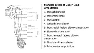 Standard Levels of Upper-Limb
Amputation
1. Transphalangeal
2. Transmetacarpal
3. Transcarpal
4. Wrist disarticulation
5. Transradial (below elbow) amputation
6. Elbow disarticulation
7. Transhumeral (above elbow)
amputation
8. Shoulder disarticulation
9. Forequarter amputation
 