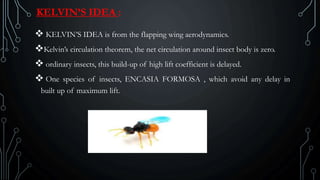 KELVIN’S IDEA :
 KELVIN’S IDEA is from the flapping wing aerodynamics.
Kelvin’s circulation theorem, the net circulation around insect body is zero.
 ordinary insects, this build-up of high lift coefficient is delayed.
 One species of insects, ENCASIA FORMOSA , which avoid any delay in
built up of maximum lift.
 