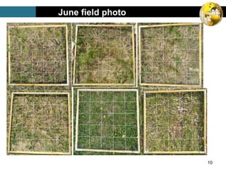 June field photo
10
 