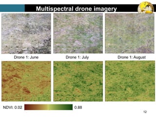 12
Multispectral drone imagery
Drone 1: June Drone 1: July Drone 1: August
NDVI: 0.02 0.88
 