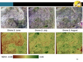 13
Drone 2: June Drone 2: July Drone 2: August
NDVI: -0.09 0.85
 