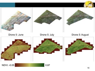16
Drone 5: June Drone 5: July Drone 5: August
NDVI: -0.05 0.87
 