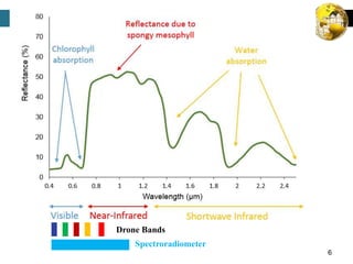 6
Drone Bands
Spectroradiometer
 