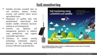 Drone and Satellite Imagenry in horticulture.pptx