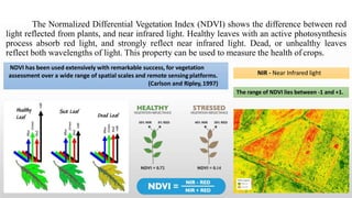 Drone design for agricultural applications | PPTX