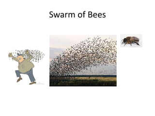 Swarm of Bees
 