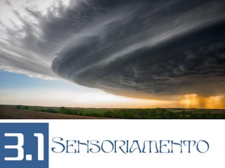 3.1 Sensoriamento
 
