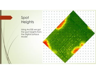 Spot
Heights
Using ArcGIS we got
the spot heights from
the Digital Surface
Model
 