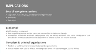 1400
1200
1000
800
600
400
200
01998 2000 2002 2004 2006 2008 2010 2012 2014 2016
South Africa is home to more than 80% of the world’s rhinos
Recorded number of rhinos poached in South Africa
Year
 
