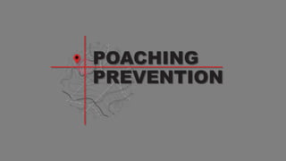 IMPLICATIONS
Loss of ecosystem
services• vegetation, nutrient cycling, seed dispersal and germination
• firebreaks
• hydrology
Economics
Wildlife tourism, employment
• Poaching of flagship species robs states and communities of their natural assets
• Undermines sustainable economic development, and has serious economic and social consequences that
threaten the livelihoods of communities dependent on wildlife tourism and natural resource
Terrorism & criminal organisations
• Feeds in to well known terrorist organisations and organised crime
• Annual income from ivory to militias, operating in the entire Sub-Saharan region, £ 3.0–8 million
 