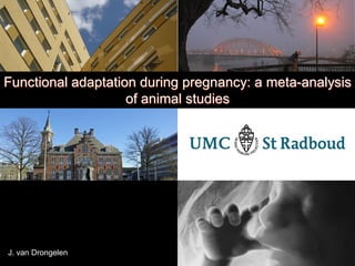 Functional adaptation during pregnancy: a meta-analysis
                    of animal studies




J. van Drongelen
 