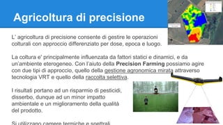 Agricoltura di precisione 
L’ agricoltura di precisione consente di gestire le operazioni 
colturali con approccio differenziato per dose, epoca e luogo. 
La coltura e' principalmente influenzata da fattori statici e dinamici, e da 
un’ambiente eterogeneo. Con l’aiuto della Precision Farming possiamo agire 
con due tipi di approccio, quello della gestione agronomica mirata attraverso 
tecnologia VRT e quello della raccolta selettiva. 
I risultati portano ad un risparmio di pesticidi, 
disserbo, dunque ad un minor impatto 
ambientale e un miglioramento della qualità 
del prodotto. 
Si utilizzano camere termiche e spettrali. 
 