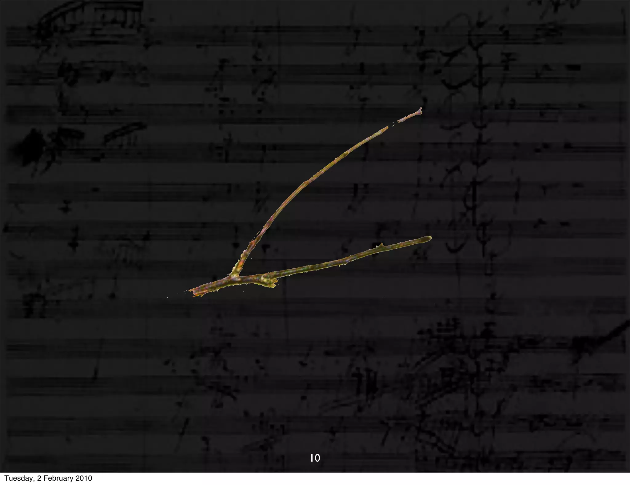 10
Tuesday, 2 February 2010
 