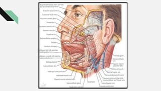 Drooling Definition Drooling on children and adult for public | PPTX