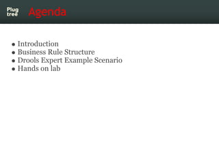 Agenda

Introduction
Business Rule Structure
Drools Expert Example Scenario
Hands on lab
 