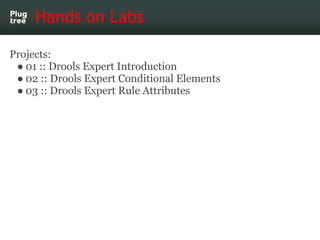 Hands on Labs

Projects:
 ● 01 :: Drools Expert Introduction
 ● 02 :: Drools Expert Conditional Elements
 ● 03 :: Drools Expert Rule Attributes
 