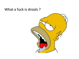 What a fuck is drools ?
 