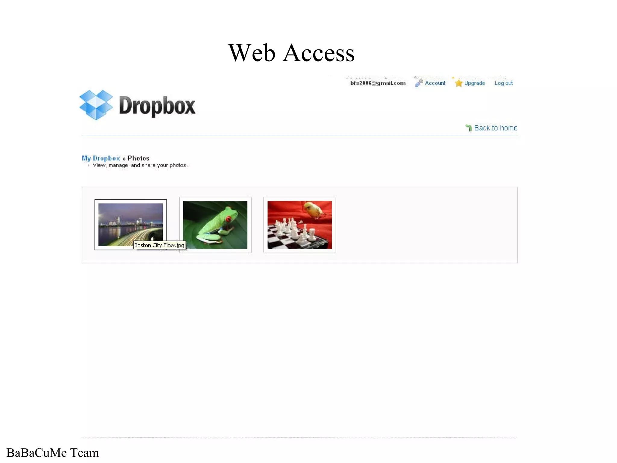 BaBaCuMe Team Web Access 