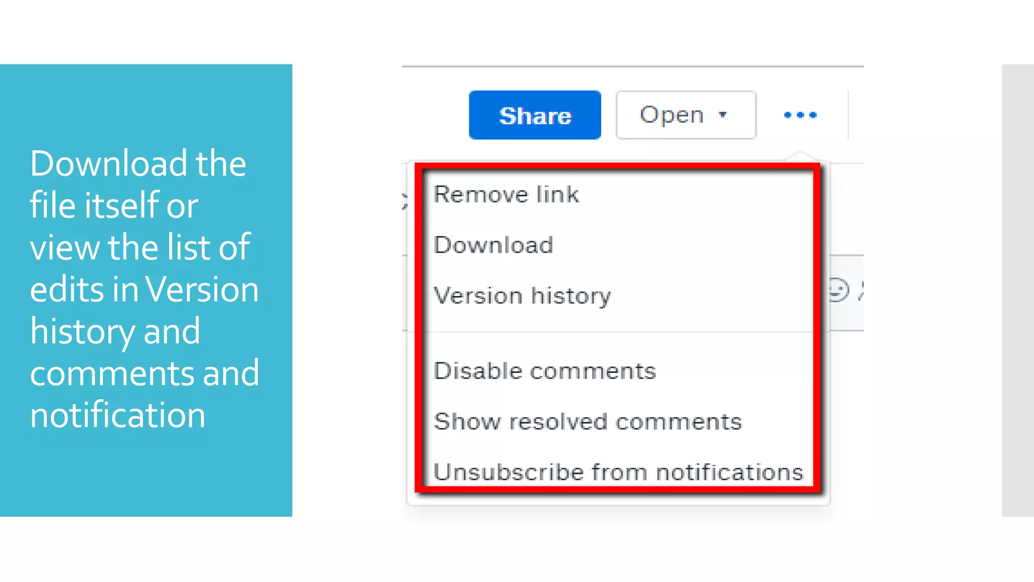 Download the
file itself or
view the list of
edits inVersion
history and
comments and
notification
 