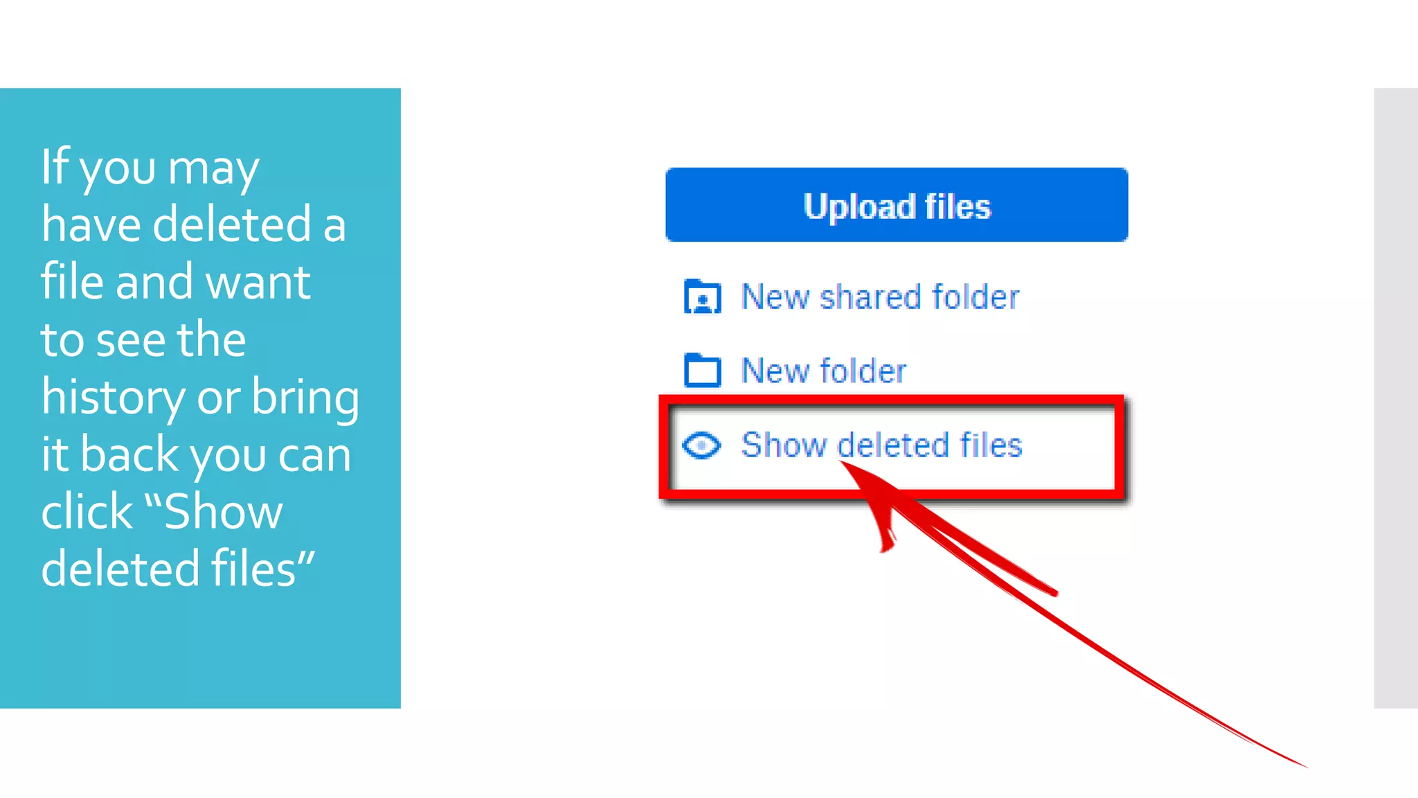 If you may
have deleted a
file and want
to see the
history or bring
it back you can
click “Show
deleted files”
 