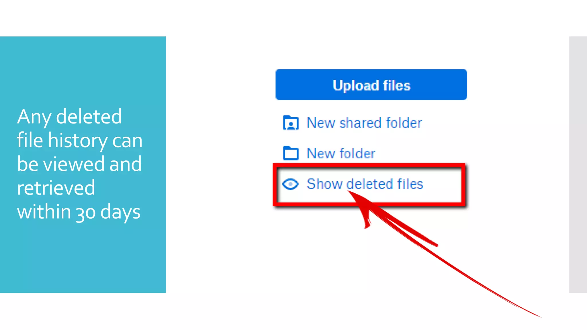 Any deleted
file history can
be viewed and
retrieved
within 30 days
 