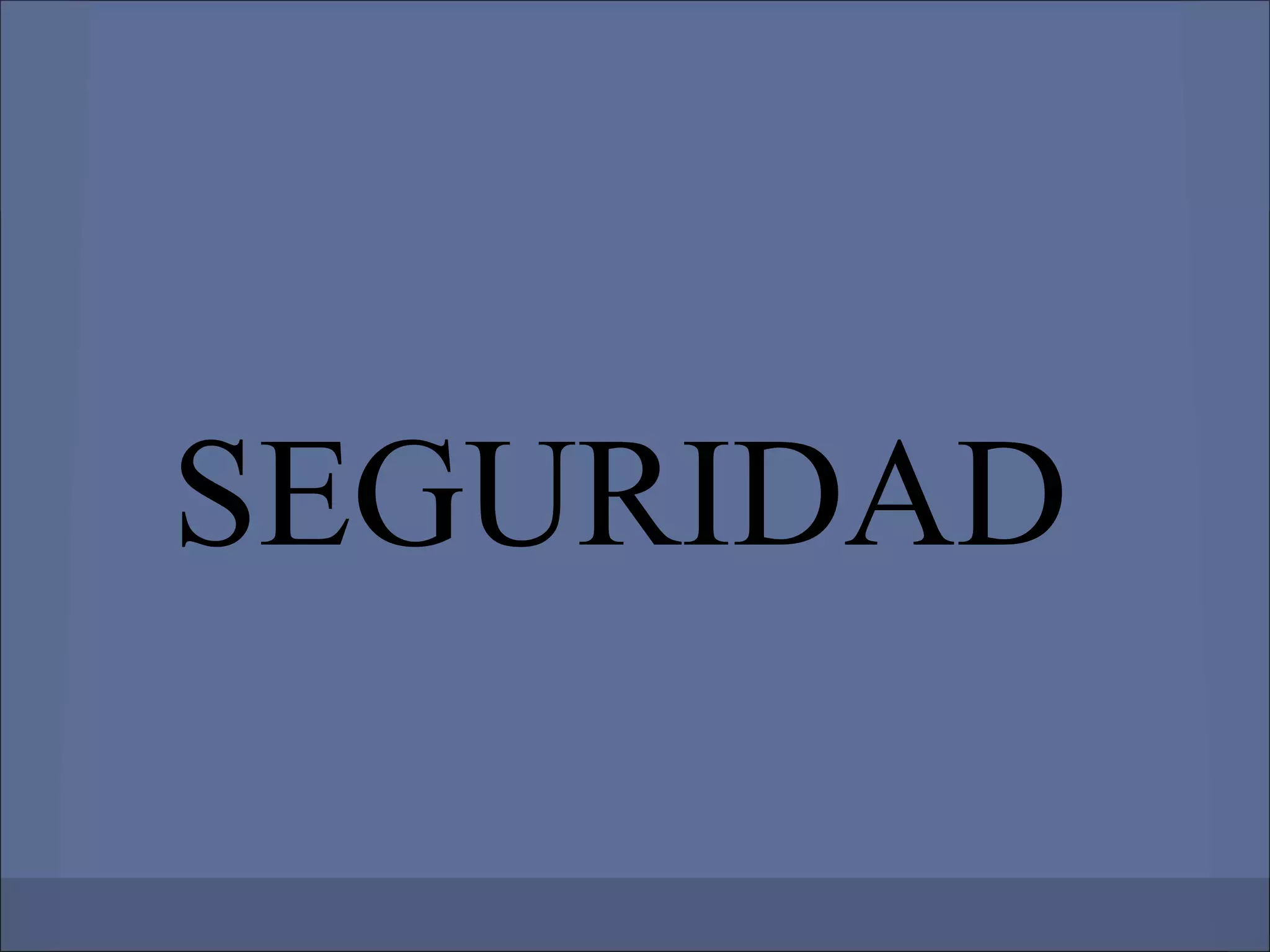 SEGURIDAD
 