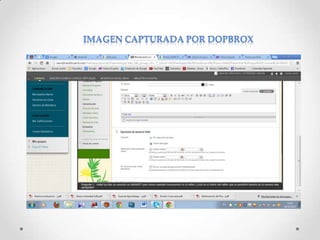 Dropbox cami