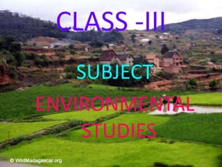 CLASS -III
SUBJECT
ENVIRONMENTAL
STUDIES
 